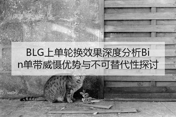 BLG上单轮换效果深度分析Bin单带威慑优势与不可替代性探讨