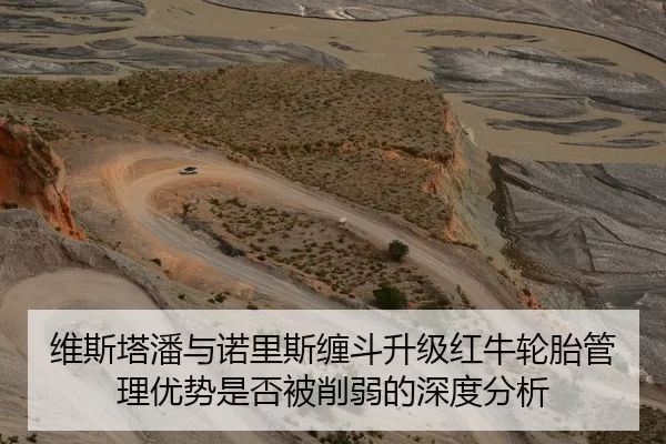 维斯塔潘与诺里斯缠斗升级红牛轮胎管理优势是否被削弱的深度分析